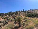 0 Mesquite - Photo 17