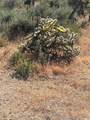 0 Mesquite - Photo 7
