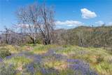 39 Acres Buckingham Mountain - Photo 14