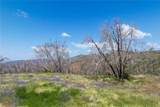 39 Acres Buckingham Mountain - Photo 17
