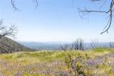 39 Acres Buckingham Mountain - Photo 19