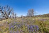 39 Acres Buckingham Mountain - Photo 20