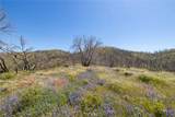 39 Acres Buckingham Mountain - Photo 21