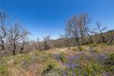 39 Acres Buckingham Mountain - Photo 22