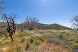 39 Acres Buckingham Mountain - Photo 23