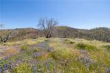 39 Acres Buckingham Mountain - Photo 25