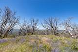 39 Acres Buckingham Mountain - Photo 26