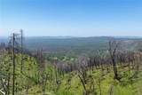 39 Acres Buckingham Mountain - Photo 31