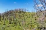 39 Acres Buckingham Mountain - Photo 32