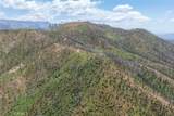 39 Acres Buckingham Mountain - Photo 35