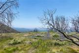 39 Acres Buckingham Mountain - Photo 5