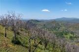 39 Acres Buckingham Mountain - Photo 41