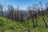 39 Acres Buckingham Mountain - Photo 42