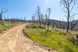 39 Acres Buckingham Mountain - Photo 47