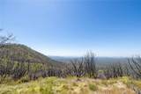 39 Acres Buckingham Mountain - Photo 54
