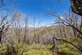 39 Acres Buckingham Mountain - Photo 55