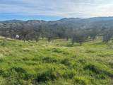3228 Wild Rose - Photo 4