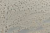 127 Waylyn - Photo 26