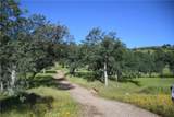 0 Cobble Creek - Photo 48