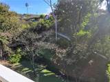 485 Morning Canyon Road - Photo 9