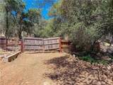 3631 Guadalupe Creek - Photo 3