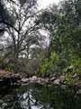 3631 Guadalupe Creek - Photo 4