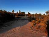 38340 Alessandro - Photo 17