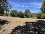  Harrison Park - Photo 2