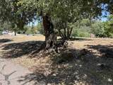  Harrison Park - Photo 11