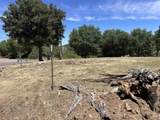  Harrison Park - Photo 15