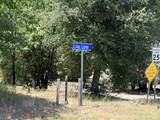 Harrison Park - Photo 17