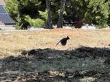  Harrison Park - Photo 18