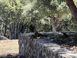  Harrison Park - Photo 19
