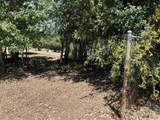  Harrison Park - Photo 6