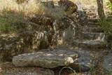 149 Old Yosemite - Photo 47