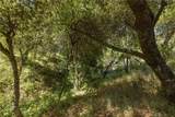 99 Old Yosemite - Photo 26