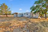 33445 Newberry - Photo 11