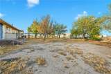 33445 Newberry - Photo 6