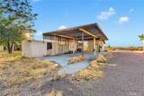 33445 Newberry - Photo 9