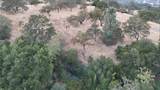 12760 El Camino Real - Photo 1