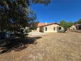 14572 Agave - Photo 2