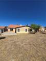14572 Agave - Photo 3