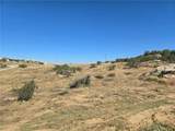 40575 Crazy Horse Dr - Photo 5