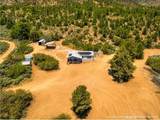 13103 Boy Scout Camp Road - Photo 36