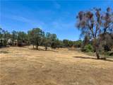 1 Spriggs - Photo 17