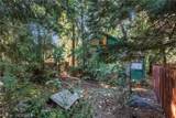 40940 Pine Drive - Photo 24