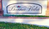 229 Buena Vida - Photo 24