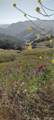 9500 Santa Rosa Creek - Photo 14