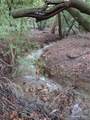9500 Santa Rosa Creek - Photo 16