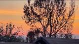 1231 Las Lomas - Photo 1